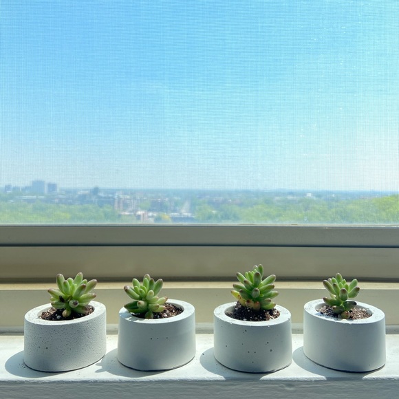 Set of 3 white concrete succulent pot, tea lights hand made modern candle holder - Picture 5 of 8